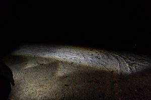 Subaru Outback Enthusiast | Swapped in Diode Dynamics SS3 Max amber lights | Facebook