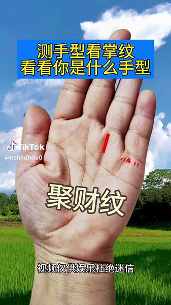 #手相鑑定師 #palmreading #手相解读 #传统文化 #手相 #palmstry