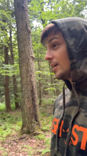 192K views · 4.5K reactions | Update: part 2 in serial killers forest | Jasko YouTube | Facebook