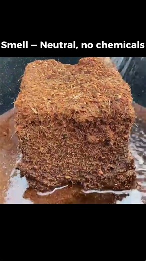 How to Check Cocopeat Quality in 5 Seconds ✅ (Fast Test) #sribalajicoirproducts #plantproducts