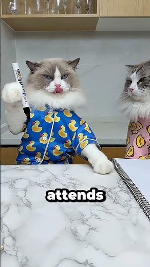 This cat did magic with a marker 😱