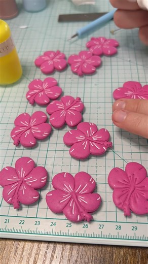 Hibiscus update 🌺