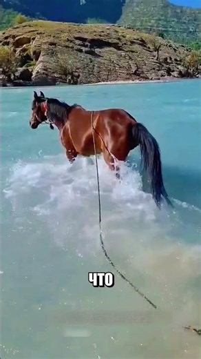 Мужики уже грузили упрямую кобылу на ПРОДАЖУ 🐴🚛😱