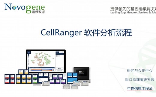 【单细胞】10x Cell Ranger软件分析流程