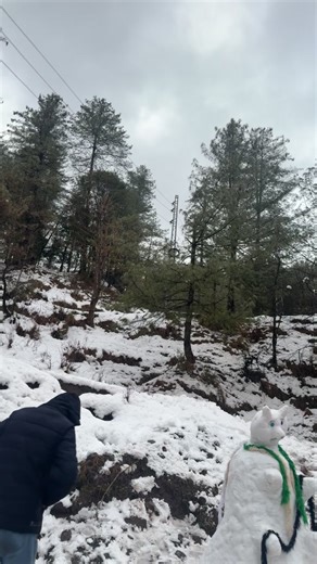 Explore the Best Pashto Songs Collection