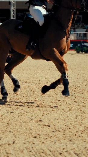 3.5K views · 62 reactions | Peder Fredricson is SO back  Nice to see a familiar face back in the league  The super Swede is jumping for the Rome Gladiators this time around  We can’t wait to see what the second half of the season holds!  | Global Champions League | Facebook