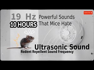 Rodent Repellent Sound Frequency 🐀🔊📊 | Scientifically Proven Frequencies | Mice & Rat Control