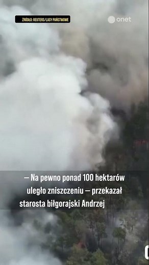 OGROMNY POŻAR LASÓW NA LUBELSZCZYŹNIE | Onet