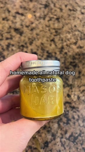 homeade all natural dog toothpaste!🦷🐶 • • Such a simple and cheap way to make a great plaque destorying and teeth whiting toothpast for your pups! All of these ingredients will really help to keep teeth sparkly white!🪥If your dog needs flavor enhancing, you can always add some chicken bouillon🍗 • • #dogteeth #toothpaste #homeadetoothpaste #dentalhygiene #dogsoftiktok #dogtok #petcaretipsfordogs