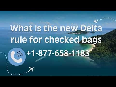 What is the new Delta rule for checked bags