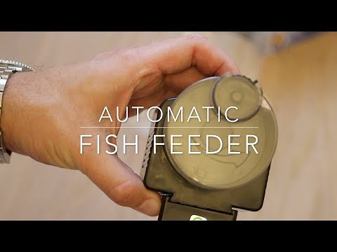 Automatic fish feeder