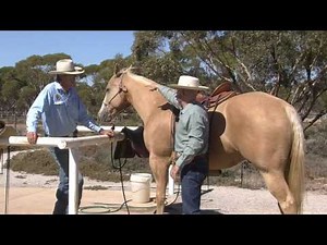 Jeff sanders talk on saddle fit
