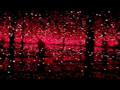 Obsesión Infinita de Yayoi Kusama
