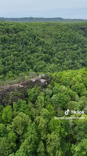 Have you been to the newest N Park of America?📍New River Gorge National Park, WV.This place is so breathtaking! Unique experience! Bucketlist!💯😱🤩⛰️🥾🦅#mountain #hiking #hike #westvirginia #newrivergorge #newriver #westvirginiacheck