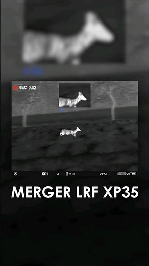 Doe captured with our Merger LRF XP35 thermal imaging binoculars. #pulsarvision