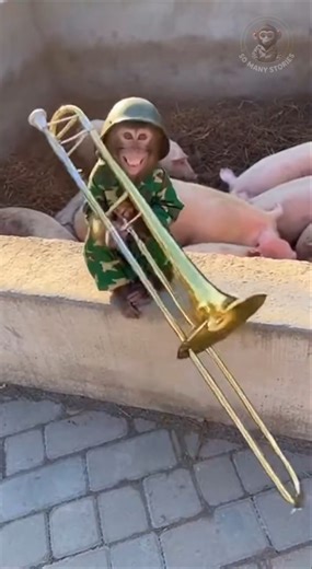 This monkey's trombone skills are INSANE 🎺 #shorts #trending