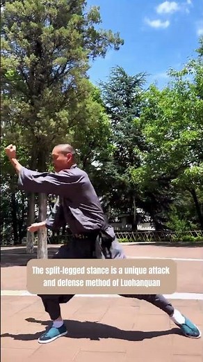 One of the 72 secret techniques of Shaolin Luohan Quan Arhat Fist #TraditionalMartialArts #ShaolinMa