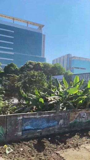 Software Engineer Life | Job Reality in India | Fresher to Developer Journey #viral #shorts