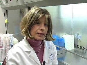 Production of Replication-Defective Retrovirus by Transient Transfection of 293T cells