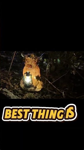 After a Harsh Day… This Cozy Solar Light Changes Your Yard 🐄
