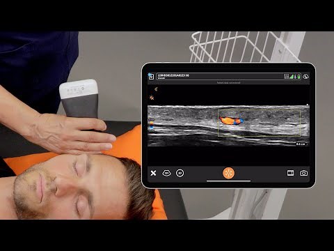 Temporal Artery Evaluation