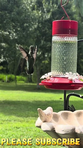 Can’t wait for there return. Relaxing Country Bird Feeder. #birdwatching #birdsong #peace #peaceful