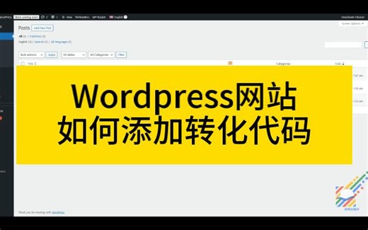 Wordpress独立站如何添加转化代码？ 看这个视频