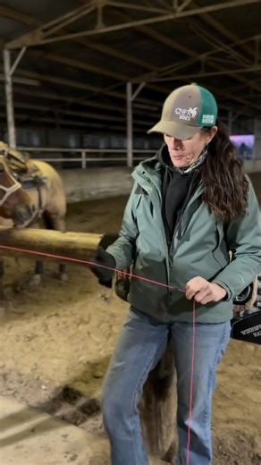 Wendyjwinn on Instagram: "🤯Measure before you buy a cinch made easy !! 1️⃣Put your saddle & pad on . 2️⃣String … fit and measure your horse from saddle D to saddle D. 3️⃣ Big Booty Judy is 52” - example . Your horse may be bigger or smaller ! 4️⃣Find your horse’s elbow - spread your hand from your pinky to the top of your thumb . big Booty Judy is 12” . 5️⃣Double this measurement 12” + 12” =24” 24” 6️⃣ take your measurement from D to D 52-24= 28 🏆Big Booty Judy will need a 28” cinch !! Stop in