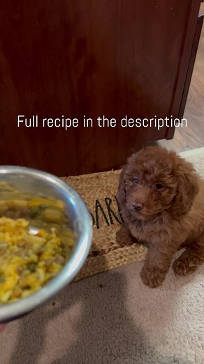 Homemade Vet-Approved Dog Food Recipe