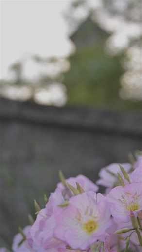 Central’s campus is so gorgeous. 💚 | Central Methodist University