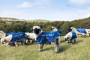 O2: Near or Far • Ads of the World™ | Part of The Clio Network