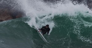 How to avoid shark attacks, according to experts