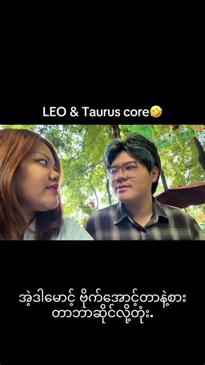 Leo & Taurus: A Zodiac Love Story