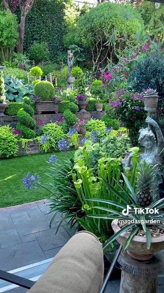 Have you ever grown Agapanthus (Lily of the Nile) in pots? They're perfect for sunny patios, balconies, or any space where in-ground planting isn't an option. Use a container with drainage holes and a well-draining potting mix, and avoid too much nitrogen because too much can reduce blooms. Wishing everyone a wonderful summer. 🍃 🍃 🍃 #magdasgarden #gardens #garden #garden #gardeninspiration #garden #have #gardens #garden #jardin #containergarden #agapanthus #gardens #containergardening #smallg