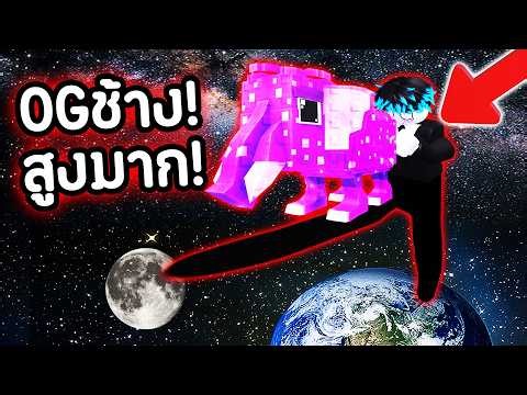 Thank you so much, ADMIN! ❤️ You made my OG 1,000,000 million meters high! 🚀😱 | Roblox