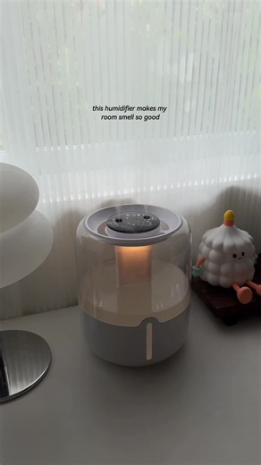Transform Your Space with a Mini Humidifier