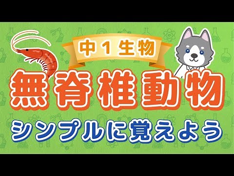 中1理科『無セキツイ動物の分類』