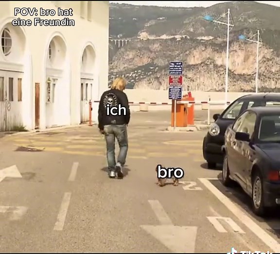 Medox: Der lustige Hund von Robert Geiss | #Bro #Deutschland #Geissens