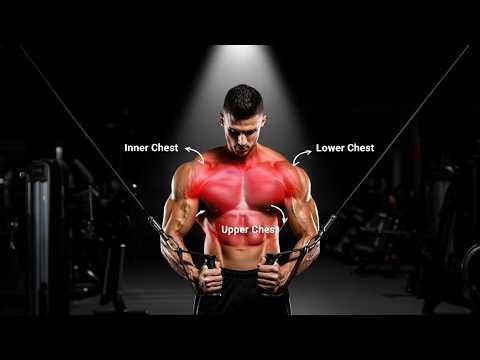 Perfect Chest Workout for Beginners (Step by Step Guide)
