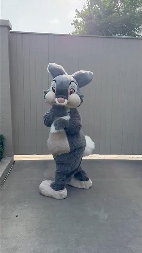 #disneyworld #disneycharacter #thumper #bambi #disney #wdw #hollywoodstudios #bunny #cuteanimals
