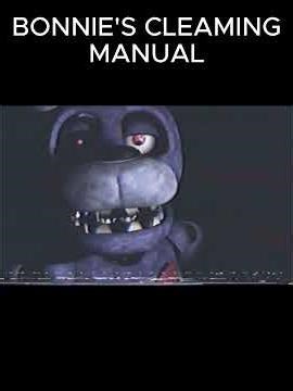 Bonnie's cleaning manual