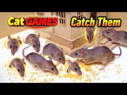 ULTIMATE Cat TV: Real Mouse in Tiny House Game for Cats to Watch!