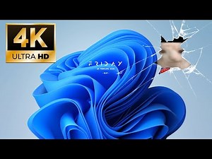 Cat Eating Chips Through Windows 11 Live Wallpaper 4K