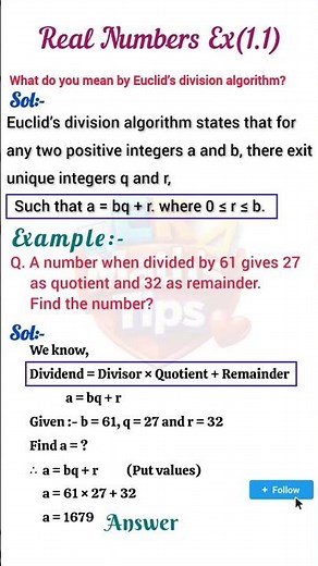 Euclid's Division Algorithm? | Definition with Example