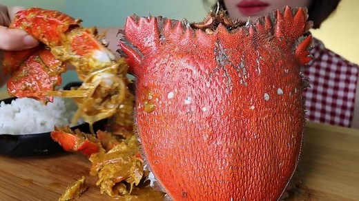 Delicious Curacha Mukbang with Alavar Sauce