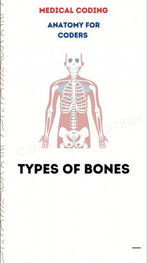 Bone Types Explained in 13 Seconds! | CPC Exam Prep #shorts