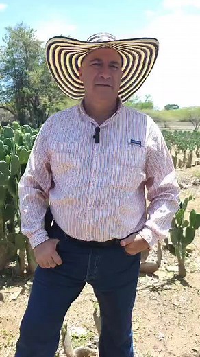 Cultivo de Nopal: Nutrición Alternativa en Cundinamarca