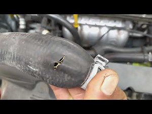 Cómo saber si necesitas cambiar las mangueras del agua de tu carro...