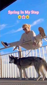 Spring In My Step (Dancing With Bailey) #springvibes #husky #bailey #springinmystep #springishere