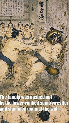 What raccoon dogs transform into #Sumowrestler